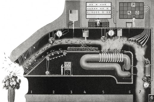 The seven functions of the nose, Fritz Kahn (1939)